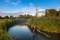 Dead trees on the bank of Paar river Royalty Free Stock Photo