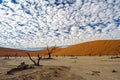 Dead trees with a beautiful cloudy sky in Dead Vlei in Sossusvlei Royalty Free Stock Photo