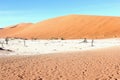 Dead trees Dead Vlei, Namibia Royalty Free Stock Photo