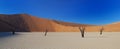 Dead Trees in Deadvlei