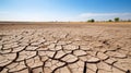 Dead trees on dry cracked earth metaphor Drought, Water crisis and World Climate change. Royalty Free Stock Photo