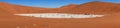 Dead trees and dunes in a salt pan namib desert. Royalty Free Stock Photo