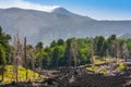 Dead trees and a lava flow near volcano Etna on Sicily