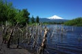 black volcanic sand with view of Snow capped Villarrica volcano. Nature of Chile. Pucon Royalty Free Stock Photo