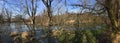 Dead trees in pond with dry grass and water with moss