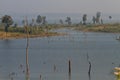 Dead trees in the reservoir with blue sky - Thakhek Loop