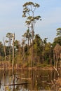 Dead trees in the reservoir with blue sky - Thakhek Loop