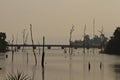 Dead trees in the reservoir with blue sky - Thakhek Loop