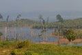 Dead trees in the reservoir with blue sky - Thakhek Loop