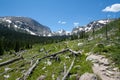 Dead Trees in Rocky Mountains Royalty Free Stock Photo