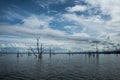 Dead trees sticking out of the water at Lake Kariba Royalty Free Stock Photo