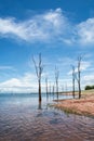 Dead trees sticking out of the water at Lake Kariba Royalty Free Stock Photo