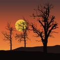 dead trees with sun or moon in background under orange sky - vector Royalty Free Stock Photo