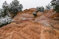 Yellowstone thermal landscape