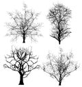 Dead Trees Vectors Royalty Free Stock Photo