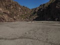 Dead turtle on the beach of baja california