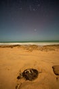 Dead turtle on beach at night, Oman