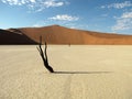 Dead Vlei Royalty Free Stock Photo