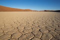 Dead Vlei clay pan Royalty Free Stock Photo