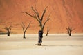 Dead Vlei desert, Namibia, South Africa Royalty Free Stock Photo