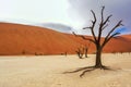 Dead Vlei desert, Namibia, South Africa Royalty Free Stock Photo