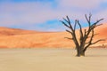 Dead Vlei desert, Namibia, South Africa