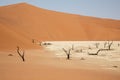 Dead Vlei in the Namib Naukluft, Namibia Royalty Free Stock Photo