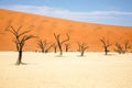 Dead Vlei in the Namib Naukluft, Namibia Royalty Free Stock Photo