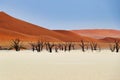 Dead Vlei Namib-Naukluft Park - Namibia Africa Royalty Free Stock Photo