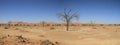 Dead vlei namibia Royalty Free Stock Photo