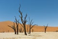 Dead vlei namibia