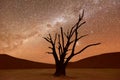 Dead Vlei, Namibia Royalty Free Stock Photo