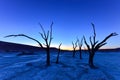 Dead Vlei, Namibia Royalty Free Stock Photo