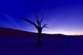 Dead Vlei, Namibia at Dusk Royalty Free Stock Photo