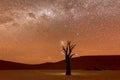 Dead Vlei, Namibia at Dusk Royalty Free Stock Photo