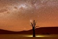 Dead Vlei, Namibia at Dusk Royalty Free Stock Photo