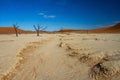 Dead Vlei near Sossusvlei in Nambia Royalty Free Stock Photo