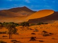 Sharp border of light and shadow over the crest of the dune. The Namib-Naukluft at sunset. Namibia, South Africa. The concept of e Royalty Free Stock Photo