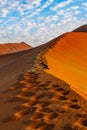 Sharp border of light and shadow over the crest of the dune. The Namib-Naukluft at sunset. Namibia, South Africa. The concept of e Royalty Free Stock Photo