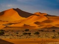 Sharp border of light and shadow over the crest of the dune. The Namib-Naukluft at sunset. Namibia, South Africa. The concept of e Royalty Free Stock Photo