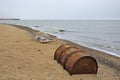 Dead walrus on the Arctic beach with the rusty fuel drum on a foreground