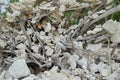 Dead White Coral Stacked With Driftwood