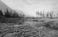 DEAD WOOD AT MARSH POND ON THE SHORES OF SAINT MARY LAKE IN GLACIER NATIONAL PARK IN MONTANA USA - BLACK AND WHITE Royalty Free Stock Photo