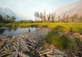 DEAD WOOD AT MARSH POND ON THE SHORES OF SAINT MARY LAKE AT WILD GOOSE ISLAND LOOKOUT POINT IN GLACIER NATIONAL PARK IN MONTANA US Royalty Free Stock Photo