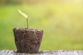 Dead young plant in dry soil on green blur. Environment concept