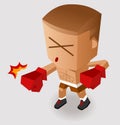 Deadly Boxing Punch Royalty Free Stock Photo