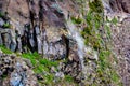 Deadly gases escaping as we are exploring one of the craters of the world`s most dangerious volcano which in on Mount Vesuvius Royalty Free Stock Photo