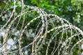 Deadly razor wire security barrier Royalty Free Stock Photo