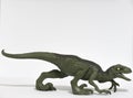 Velociraptor on white background ready to attack Royalty Free Stock Photo