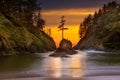 Deadmans Cove at Cape Disappointment State Park sunset Royalty Free Stock Photo